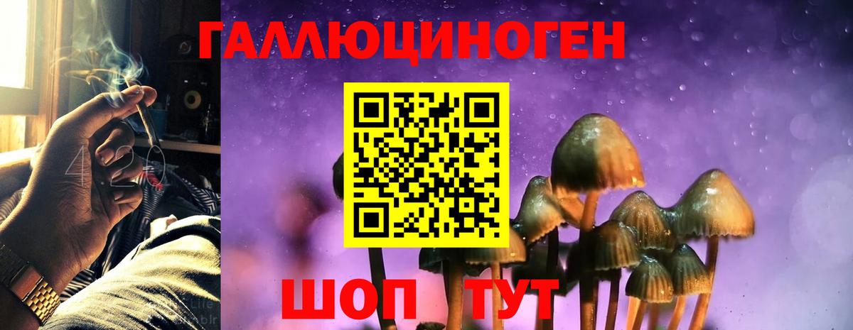 Майкоп  Псилоцибиновые грибы Cubensis  Вход с VPN  Псилоцибиновые грибы Psilocybine cubensis 